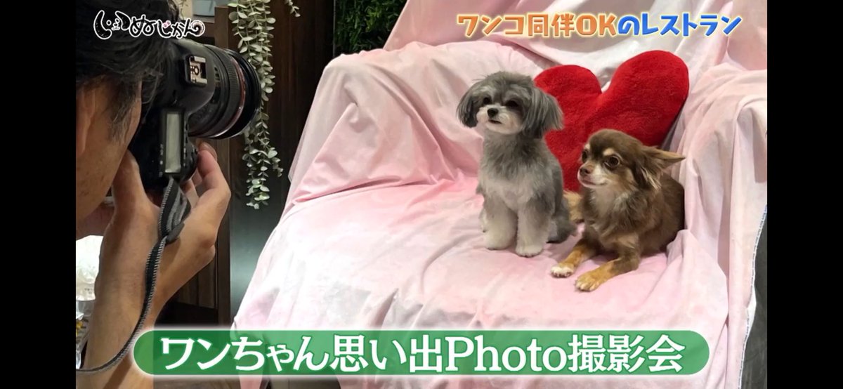 かわいい2人が一瞬映ったよ🩷
Tver見逃し配信で見れるよぅ
来週も楽しみ😊