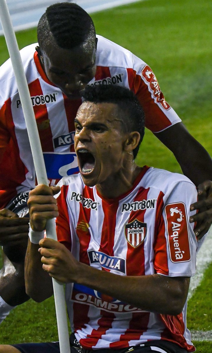 languedebut tweet media