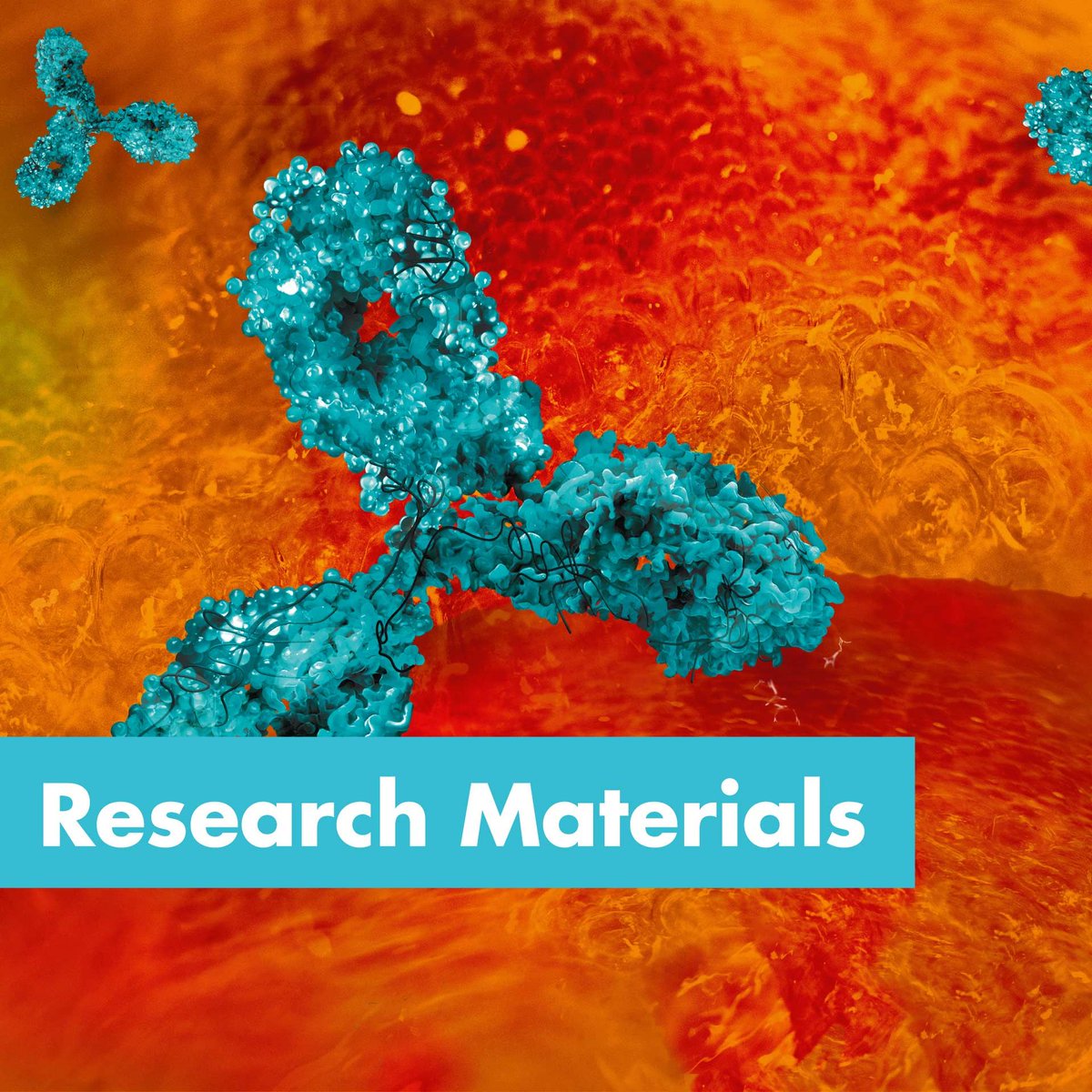 PROvendis GmbH tweet media