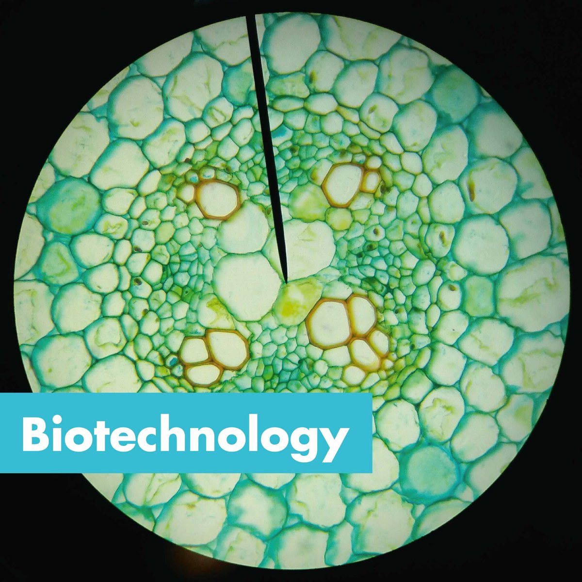 PROvendis GmbH tweet media
