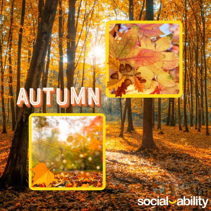 SocialAblty's tweet image. Its November and we are in the middle of Autumn which would be a great time to try out the &apos;Autumn leaves&apos;🍁 and &apos;Falling leaves&apos; 🍂games!

Exclusive to #HappinessProgramme subscribers