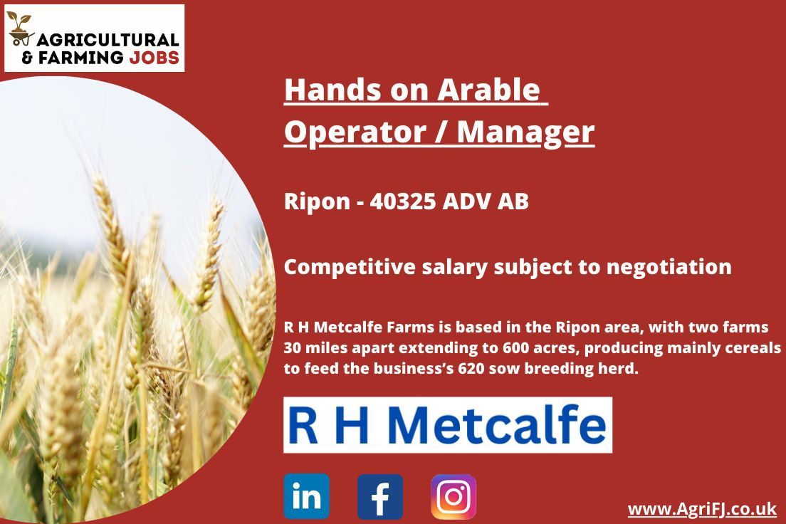 Agriculturaljob's tweet image. New Job Opportunity - Hands on Arable Operator / Manager - R H Metcalfe
📍 Ripon
💰 Competitive salary subject to negotiation

To find out more about this job role and to apply - buff.ly/4eKvdkX 

#agrifj #agriculturalandfarmingjobs #arableoperator #arablemanager #arable