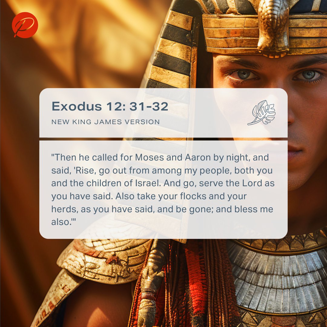 After devastating plagues, Pharaoh finally recognized the power of the God of Israel. His desperate plea for a blessing marked a shift from stubbornness to vulnerability, signaling a turning point for the Israelites as they moved from slavery toward the Promised Land. #faithstory