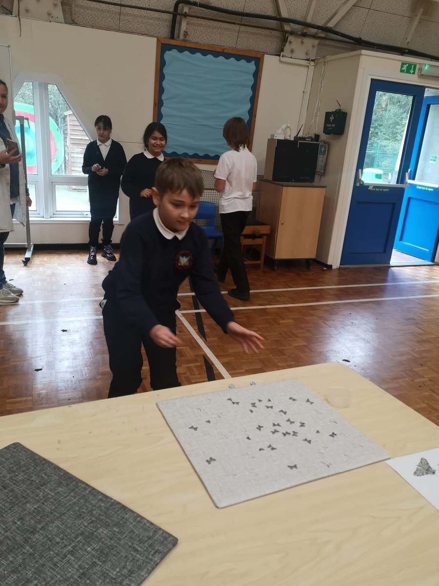 HandfordHallPS's tweet image. At Handford Hall we love Science!
#year6
#FabScience