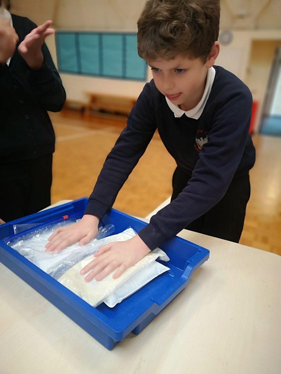 HandfordHallPS's tweet image. At Handford Hall we love Science!
#year6
#FabScience