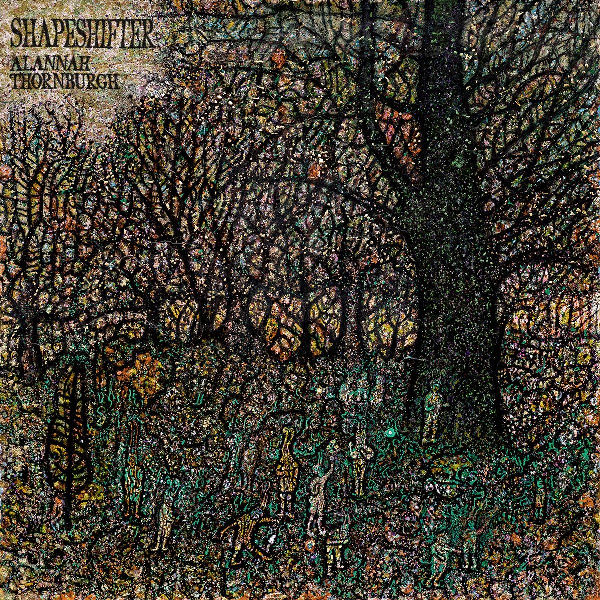 Alannah Thornburgh (@alannahharp) on Twitter photo I am so happy to announce today that my debut album âShapeshifterâ will be released on February 12th 2025. âShapeshifterâ is a collection of compositions inspired by fairy folklore in rural Ireland. The album is available for pre-order now here: alannahthornburgh.bandcamp.com/album/shapeshi⌠⨠I am so happy to announce today that my debut album âShapeshifterâ will be released on February 12th 2025. âShapeshifterâ is a collection of compositions inspired by fairy folklore in rural Ireland. The album is available for pre-order now here: alannahthornburgh.bandcamp.com/album/shapeshi⌠â¨