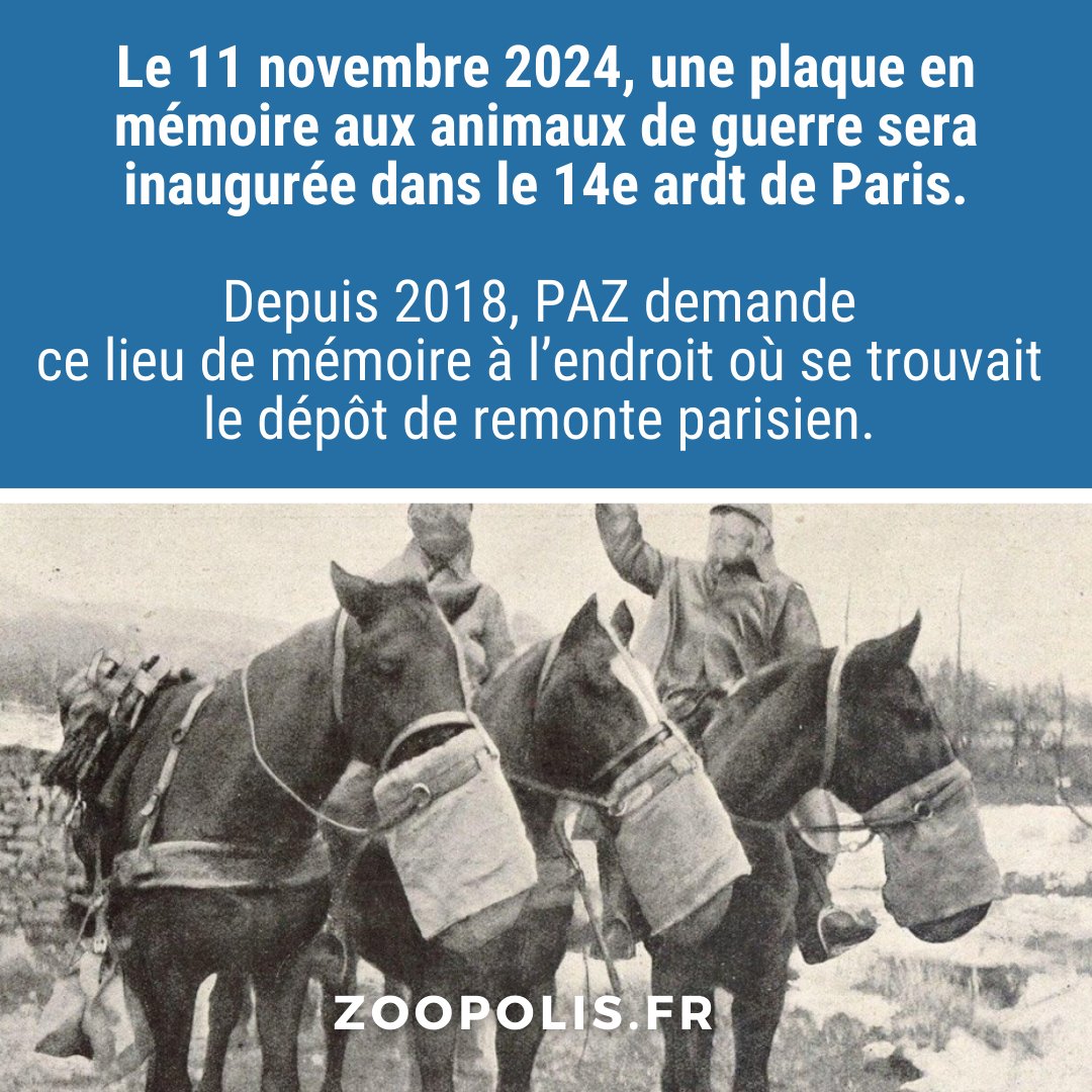 🐴RDV lundi à 14h au 42 bd Jourdan #Paris14. 
Durant la #1GM, il y avait 1 dépôt de remonte par département. Les chevaux réquisitionnés y étaient rassemblés et dressés avant d'être envoyés au front.

Nous remercions <a href="/f_letissier/">Florentin Letissier</a> @carine_petit Sidonie Parisot.

#AnimauxDeGuerre 🕯️