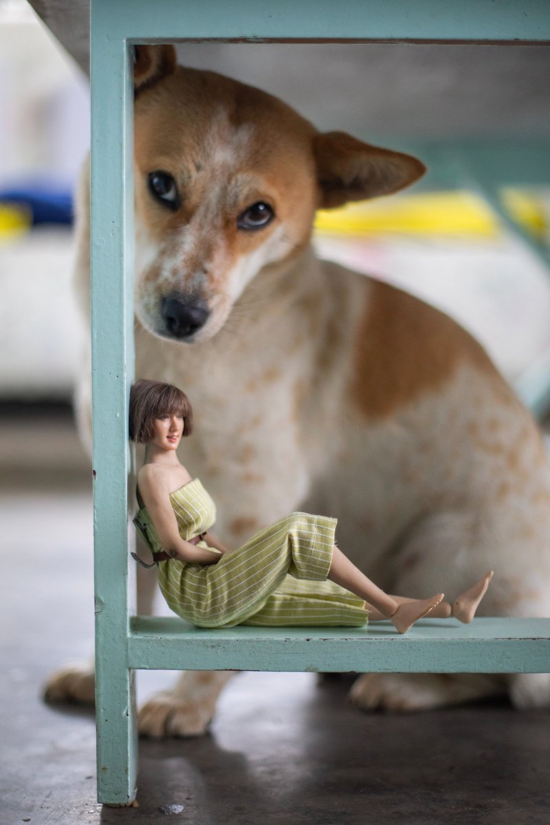Storyonwheel's tweet photo. Dogs &amp; dolls
.
.
.
#miniature #miniaturephotography #scalemodel #actionfigure #doll #dogs #figurines #travel #toys https://t.co/tTcamhPKkL