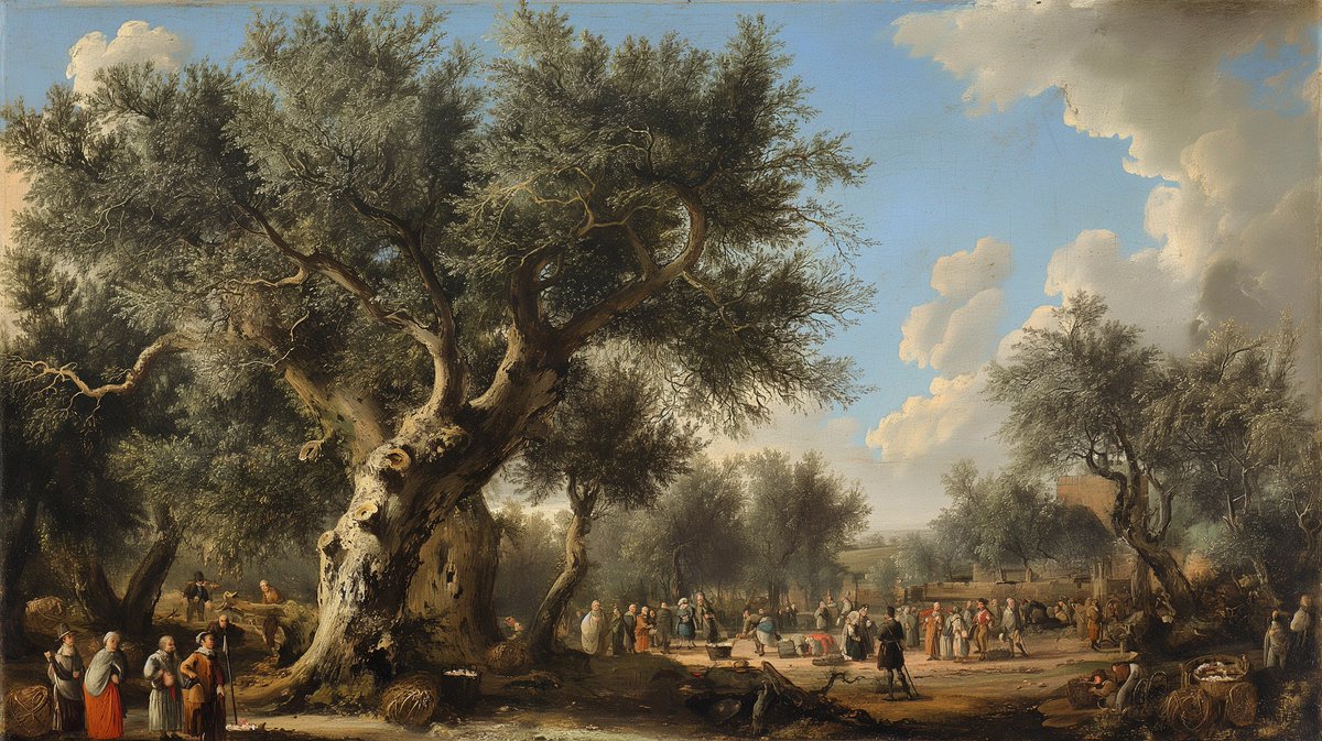 ¿Sabías que, en tiempos del Imperio romano, Galicia fue elegida para el cultivo de olivos? Hasta que un día desaparecieron. ¿Que pasó con aquellos árboles? ¿Fueron los Reyes Católicos quienes ordenaron cortarlos, tal y como se cuenta habitualmente?

Tira del hilo 🧵👇🏽👇🏽👇🏽