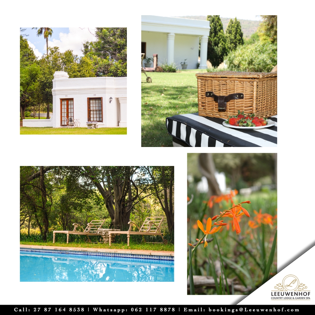From sunsets to the gentle rustle of leaves, every moment is a symphony of peace. 

Contact us to make a booking or enquires
Whatsapp: 062 117 8878
Email: Bookings@leeuwenhof.com

#leeuwenhoflodge #countrylodge #Spa #CountryLodgeSerenity #NatureRetreat #PeacefulEscape"