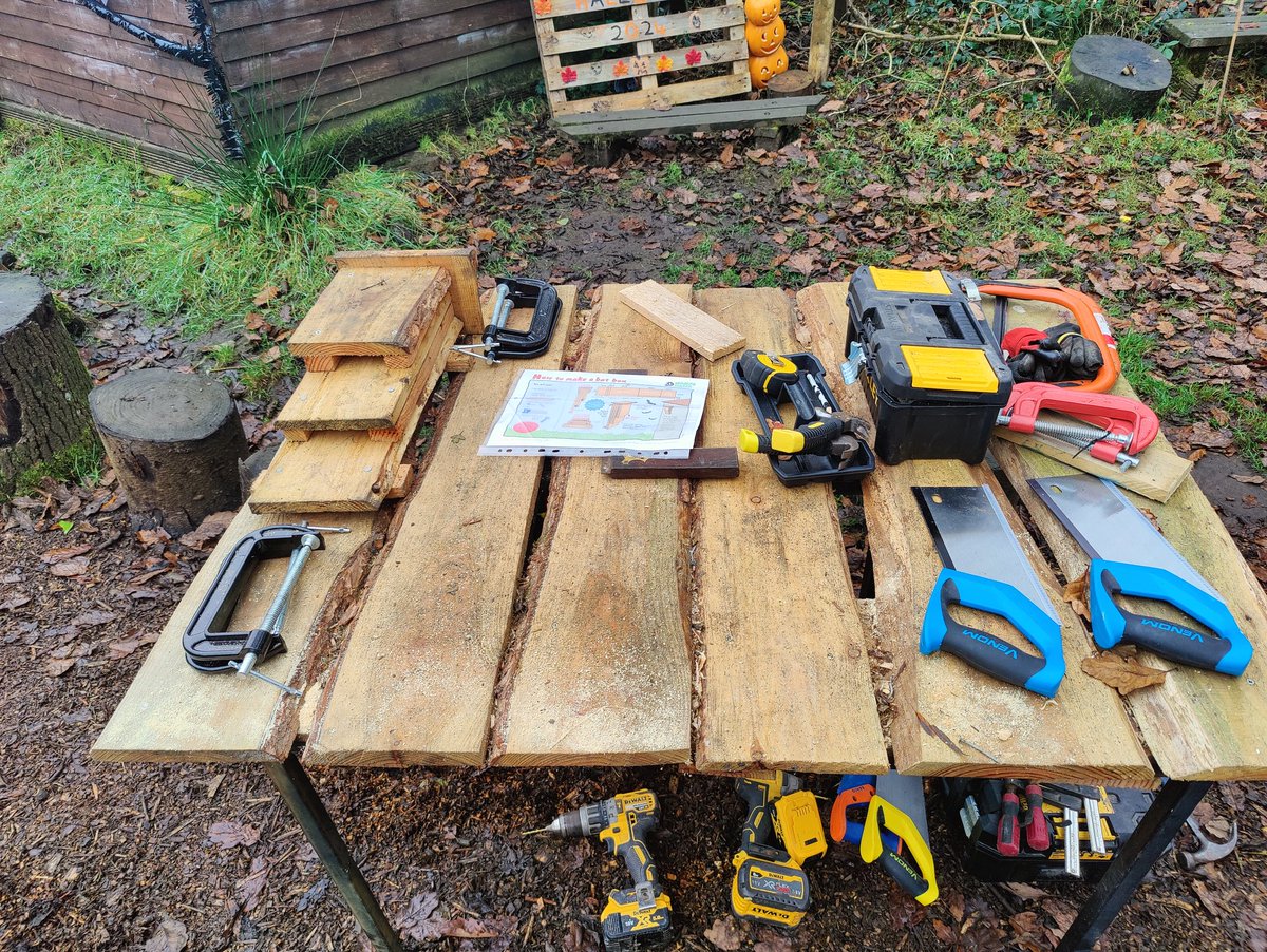 All setup for a batastic education session up at #DareValley <a href="/dvforestschool/">Dare Valley Forest School 🌳🏴󠁧󠁢󠁷󠁬󠁳󠁿</a> building rustic bat boxes. Exciting venue to book your own activity sessions or join their regular forest school and after-school groups