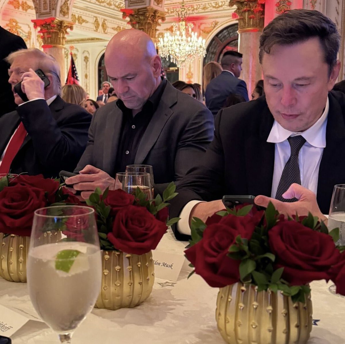 cb_doge's tweet photo. When you're at a party but there's a new meme to post on 𝕏: https://t.co/WueLZAJvAG
