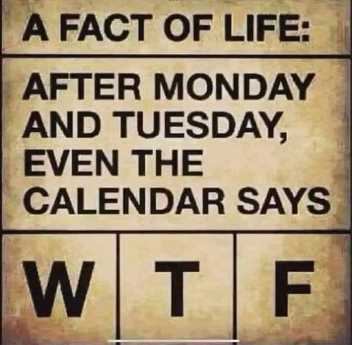 🆂🅷🅴🅴🅽🅰 tweet media