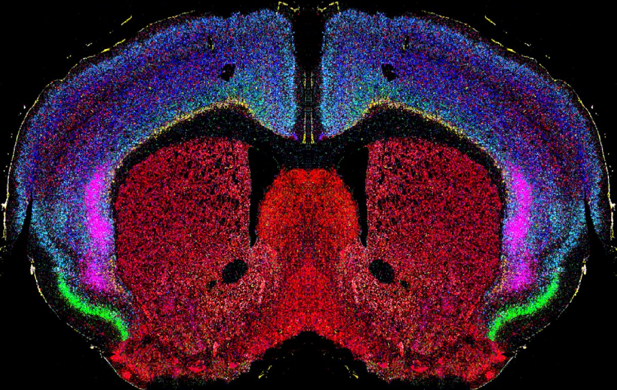 rodriguez-carleton-labs tweet media