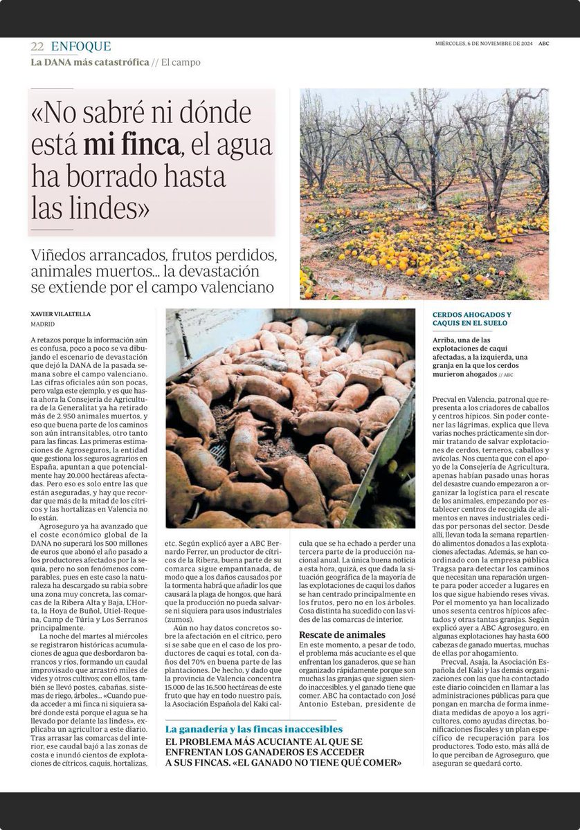 Nadie se quedará sin ayuda pero es importante que se definan e inscriban en el registro las lindes gráficas de las fincas para que la titularidad quede totalmente asegurada, aún en catástrofes como esta.