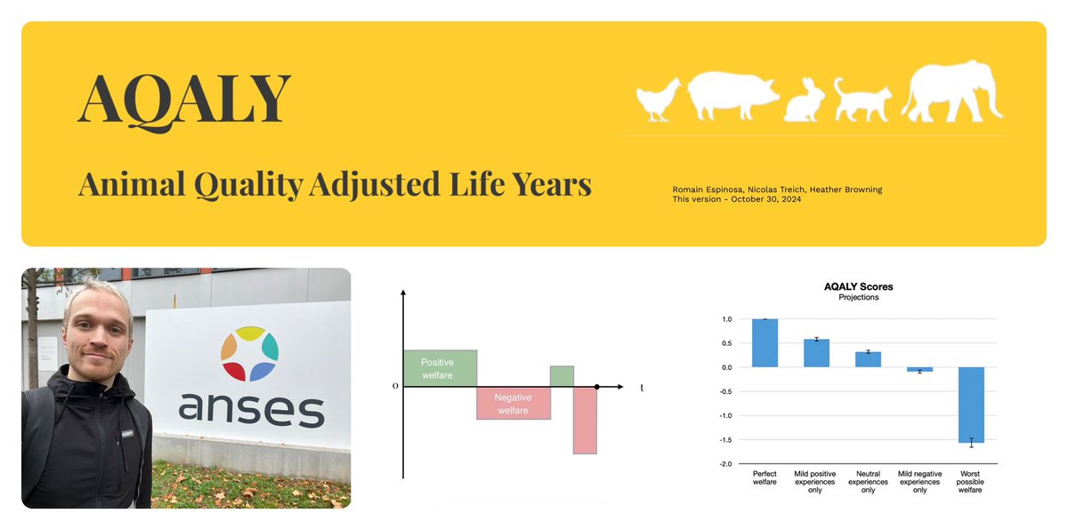 Presenting today our latest work on the economic valuation of animal welfare at the French National Agency for Food Security (ANSES). 🐖🐄🐐🐈‍⬛🦮🐿️🐟