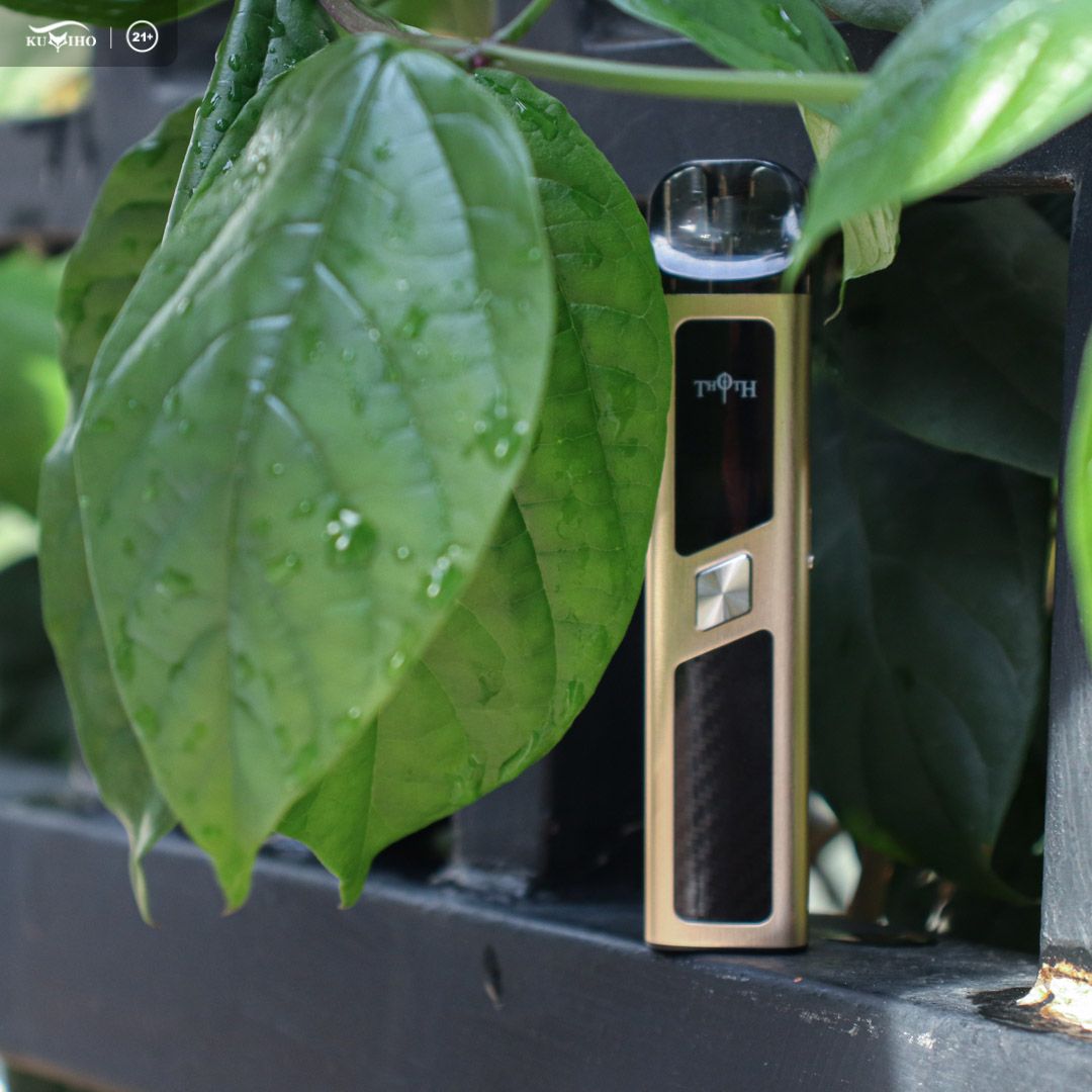 HealthCabin's tweet photo. 🌈🌈
🆕🦊💨Every puff is a sweet and smooth cloud adventure via kumiho #thothg!
▶️In stock~
✔️Built-in 900mAh battery
✔️2ml pod capacity
🙋All 8 colors available🖤💙💛💜🤍
..
💃Get yours:👇
https://t.co/X8FsN058QJ
>
#kumiho #thothgpod #kumihothothg #vapewholesale #vape #vapor https://t.co/1L4leSZZDf