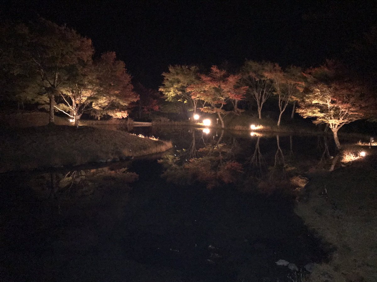 kuretake2985's tweet photo. 草履石公園のライトアップも同時期です😭 https://t.co/Tp9UyNFJB5