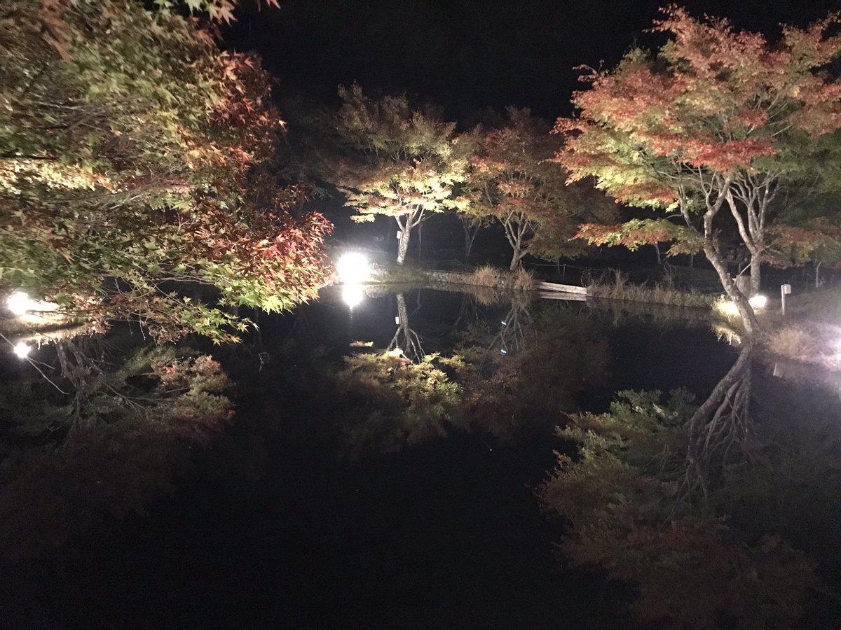 kuretake2985's tweet photo. 草履石公園のライトアップも同時期です😭 https://t.co/Tp9UyNFJB5
