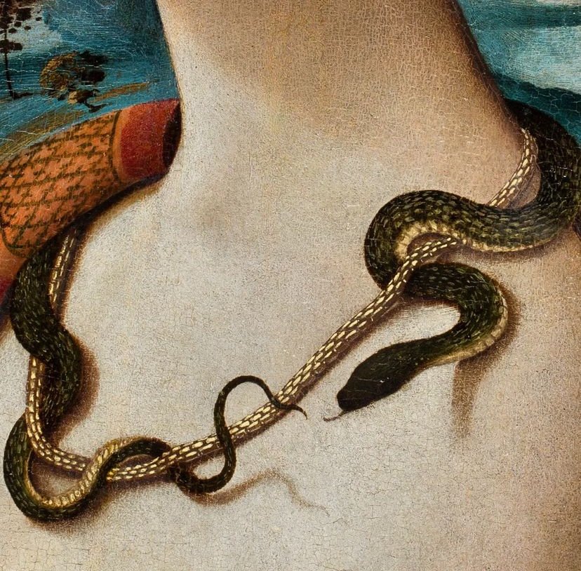 "Portrait of Simonetta Vespucci" (detail), Piero di Cosimo, ca. 1490.