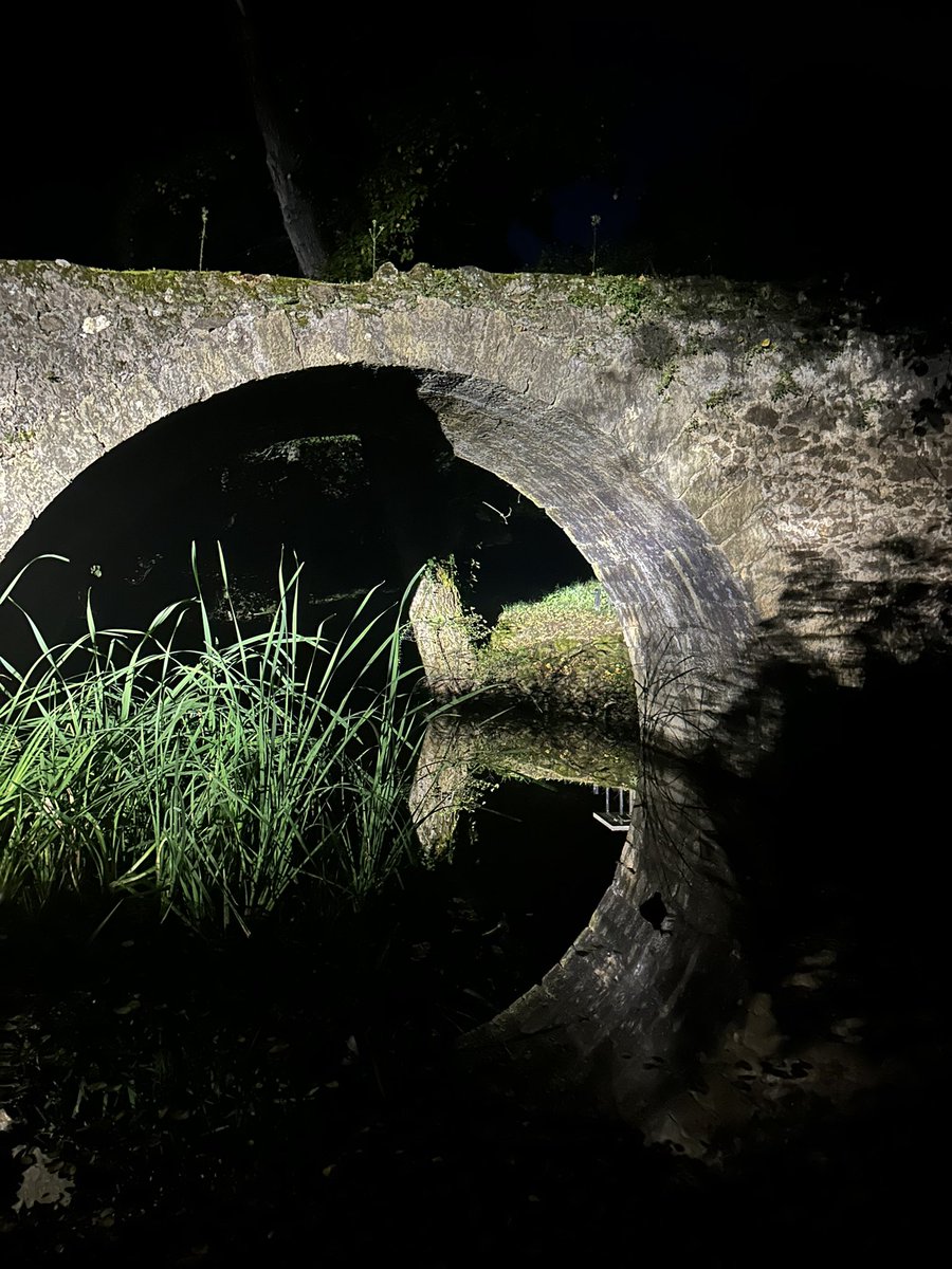 домашние сырники это не оладьи 🤌 tweet media