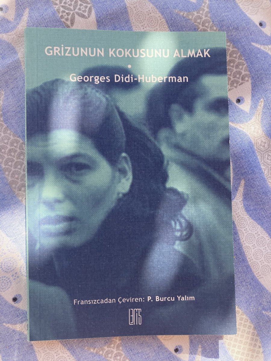 Bir kez daha Didi-Huberman
Grizunun Kokusunu Almak
“Kötümserlik ve ıstırap, kesinlikle evet. Teslimiyet, kesinlikle hayır.”