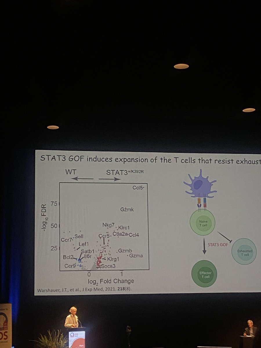 I believe that learning about rare T1D variants and associated genes will help us identify common variants associated with T1D or drug response #IDS2024