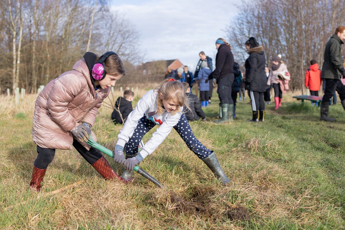 The National Forest tweet media