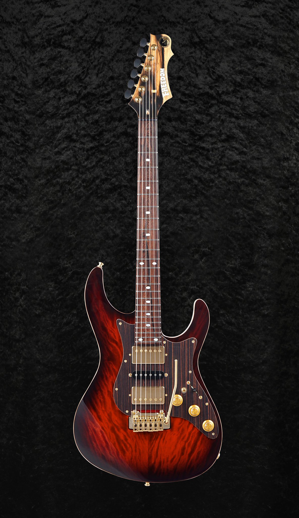 freedomcustomguitarresearchハイドラ Freedom Custom Guitar Research | O.S Hydra 24F-2Point
