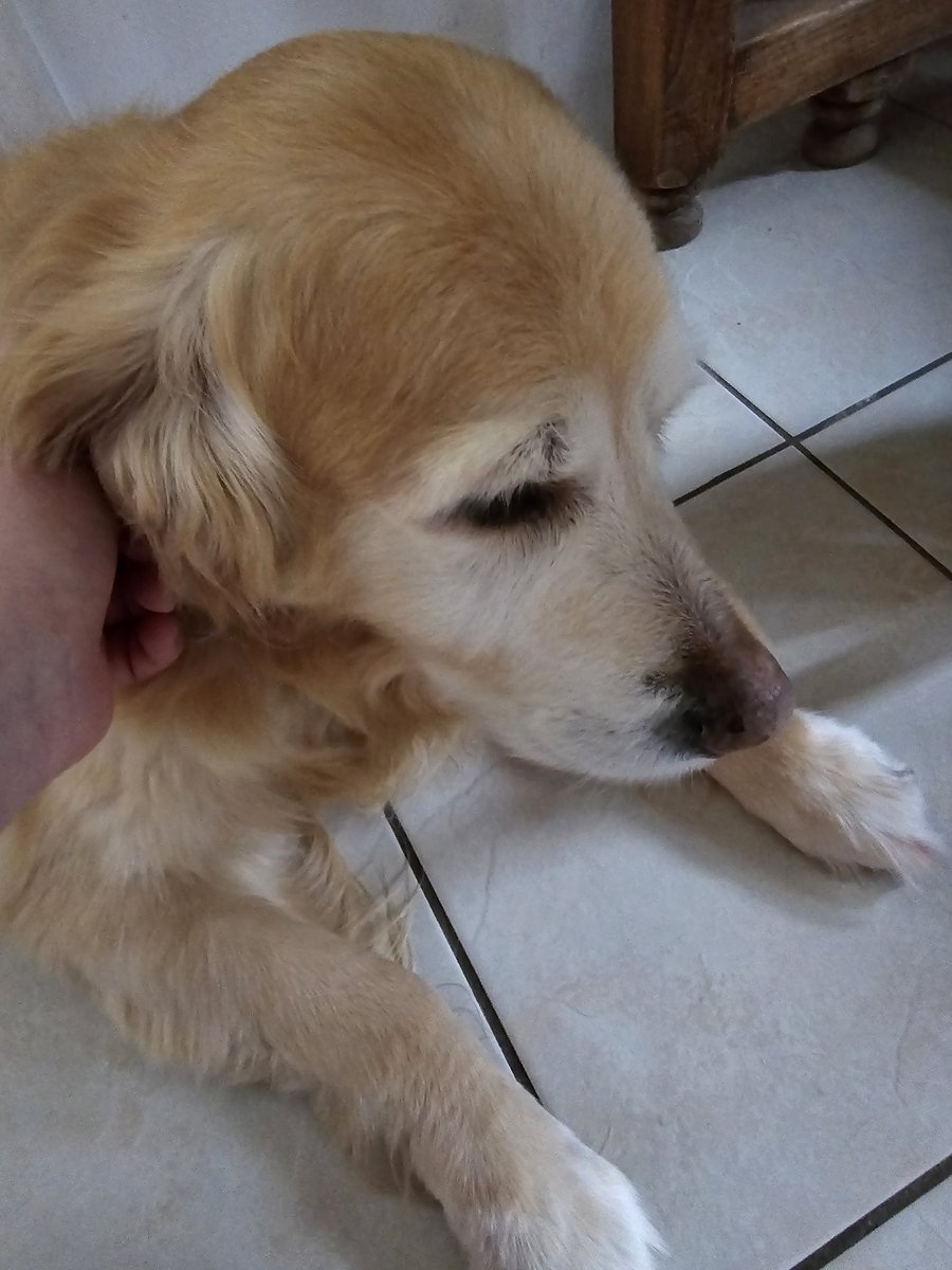 ObMoHarry's tweet image. Here's some dotty to help with the sadness today