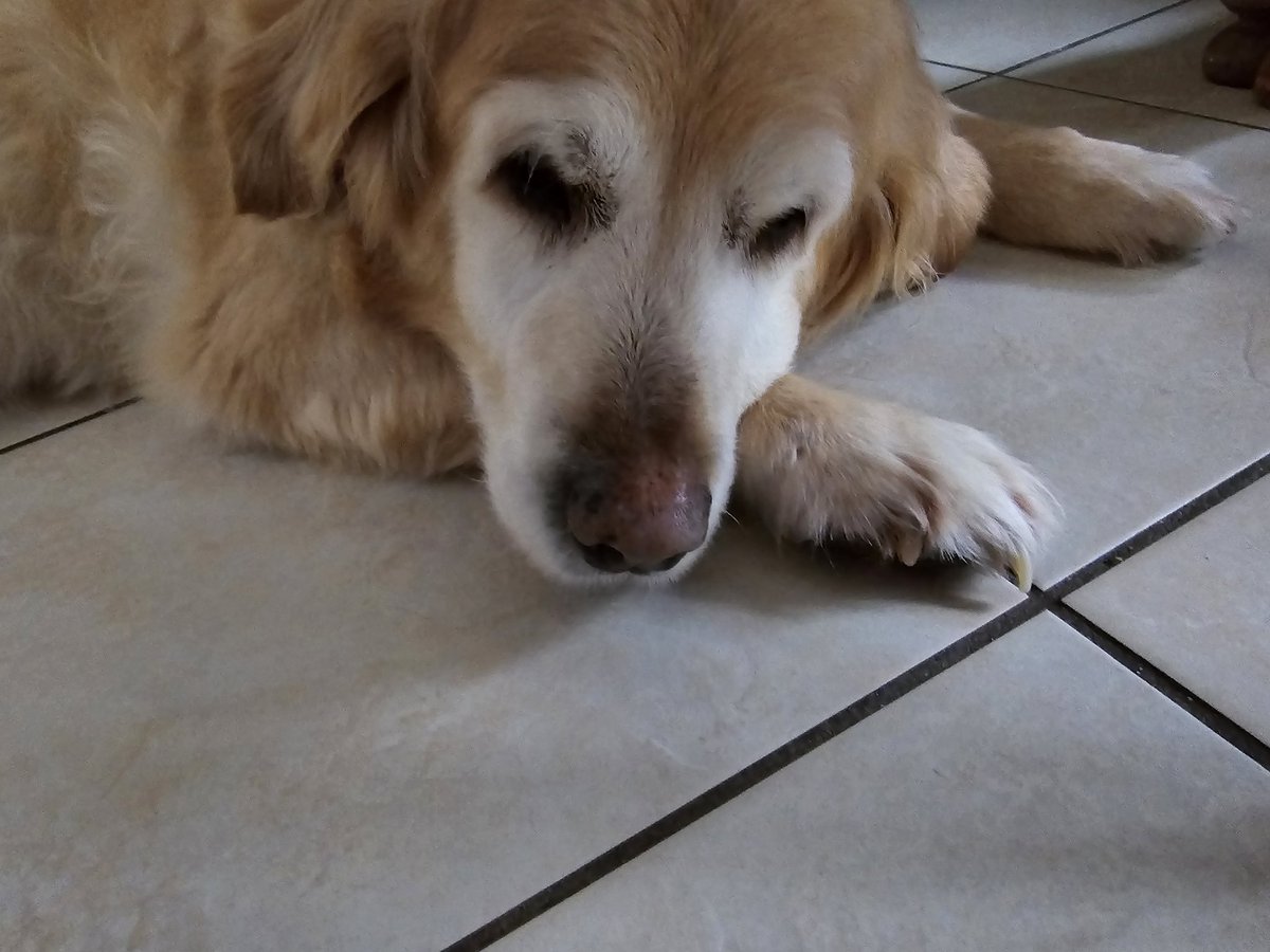 ObMoHarry's tweet image. Here's some dotty to help with the sadness today