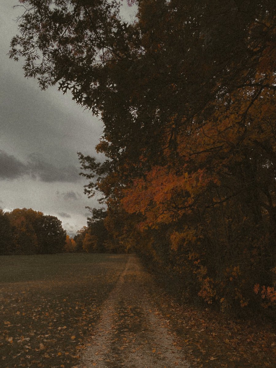 𓍊˖ ࣪⊹ (@goblinc0re) on Twitter photo 