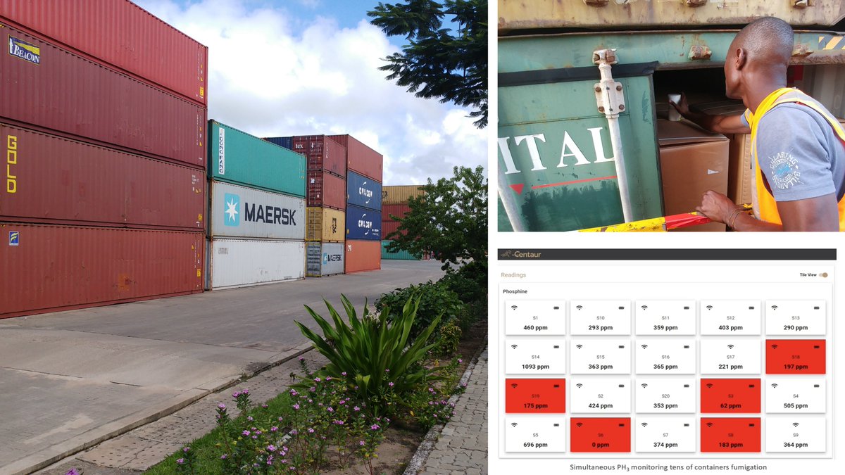 🪤 Optimize Container Fumigation with Confidence

Facing leaks or limited personnel? Centaur’s Internet-of-Crops® provides: ✅ Wireless PH3 sensors for real-time monitoring✅ Remote access via cloud✅ Instant leak detection
Learn more: get.centaur.ag/faqs
#Fumigation #PH3