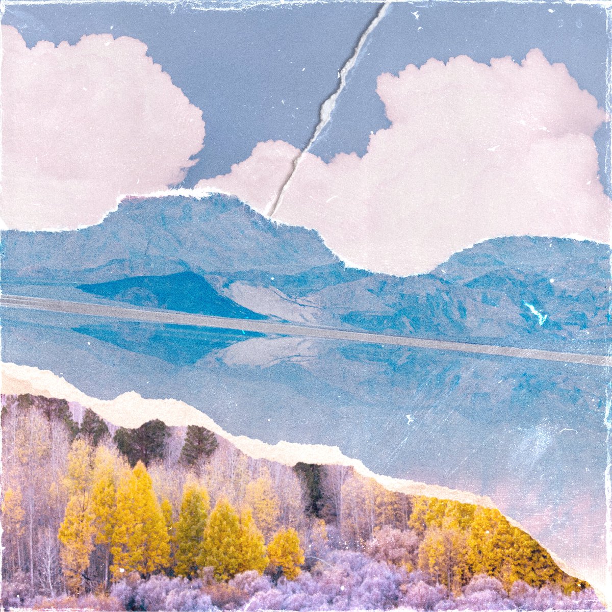 52Hz records tweet media