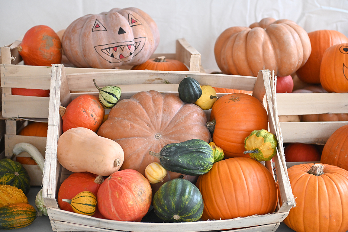 Ville de Clichy-la-Garenne tweet media
