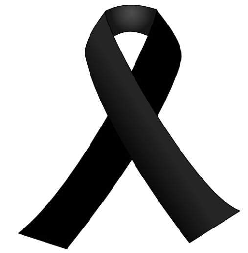 Des del l'Institut Narcís Monturiol <a href="/InsNarMont/">INS Narcís Monturiol</a> volem fer arribar el nostre més sentit condol, el nostre suport i la nostra solidaritat als afectats per la #DANA
#DanaValencia