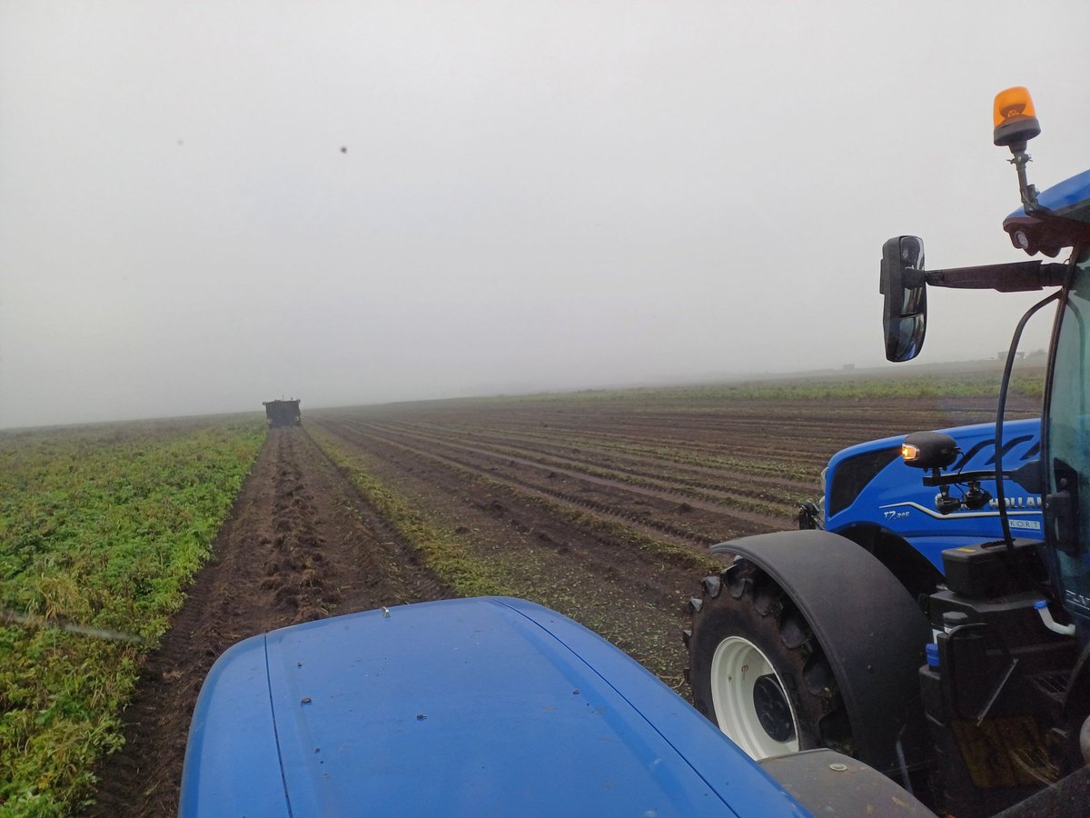 Kleine wereld tijdens het valeriaan oogsten #akker