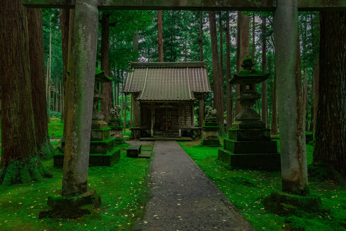 hitoritabiken's tweet photo. こんなに緑が綺麗な神社、あるんだ…。鳥肌立つわ…。 https://t.co/AzYHXMeF2p