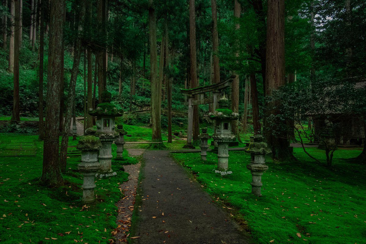 hitoritabiken's tweet photo. こんなに緑が綺麗な神社、あるんだ…。鳥肌立つわ…。 https://t.co/AzYHXMeF2p