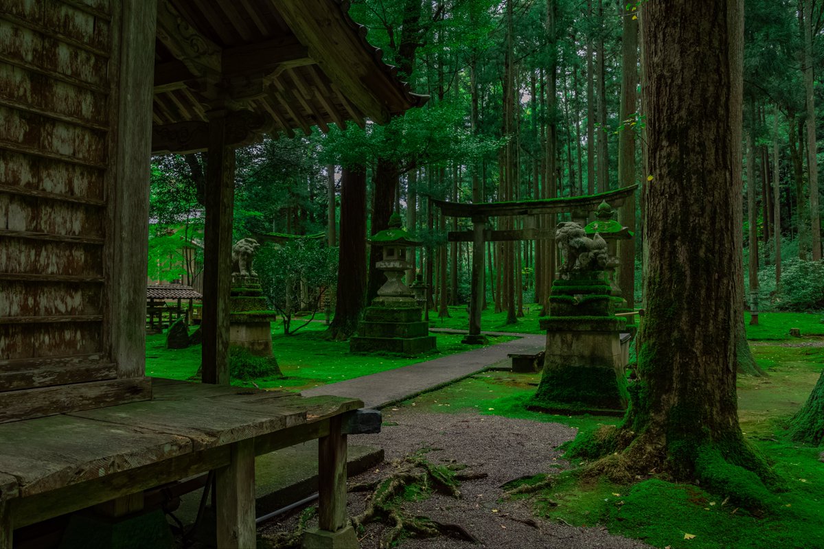hitoritabiken's tweet photo. こんなに緑が綺麗な神社、あるんだ…。鳥肌立つわ…。 https://t.co/AzYHXMeF2p