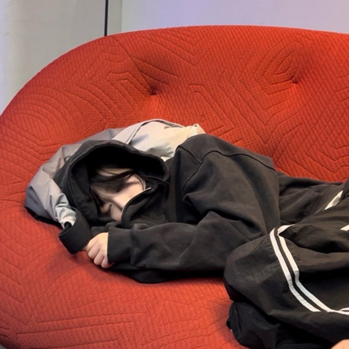hourahyeon's tweet photo. sleeping cats 💤 #AHYEON #아현 https://t.co/4MgZolwxV3