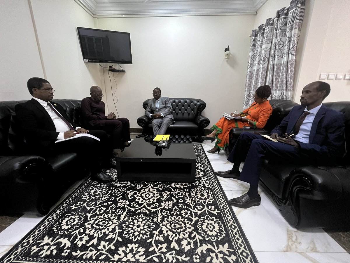 Union Africaine Bureau de Liaison au Tchad tweet media