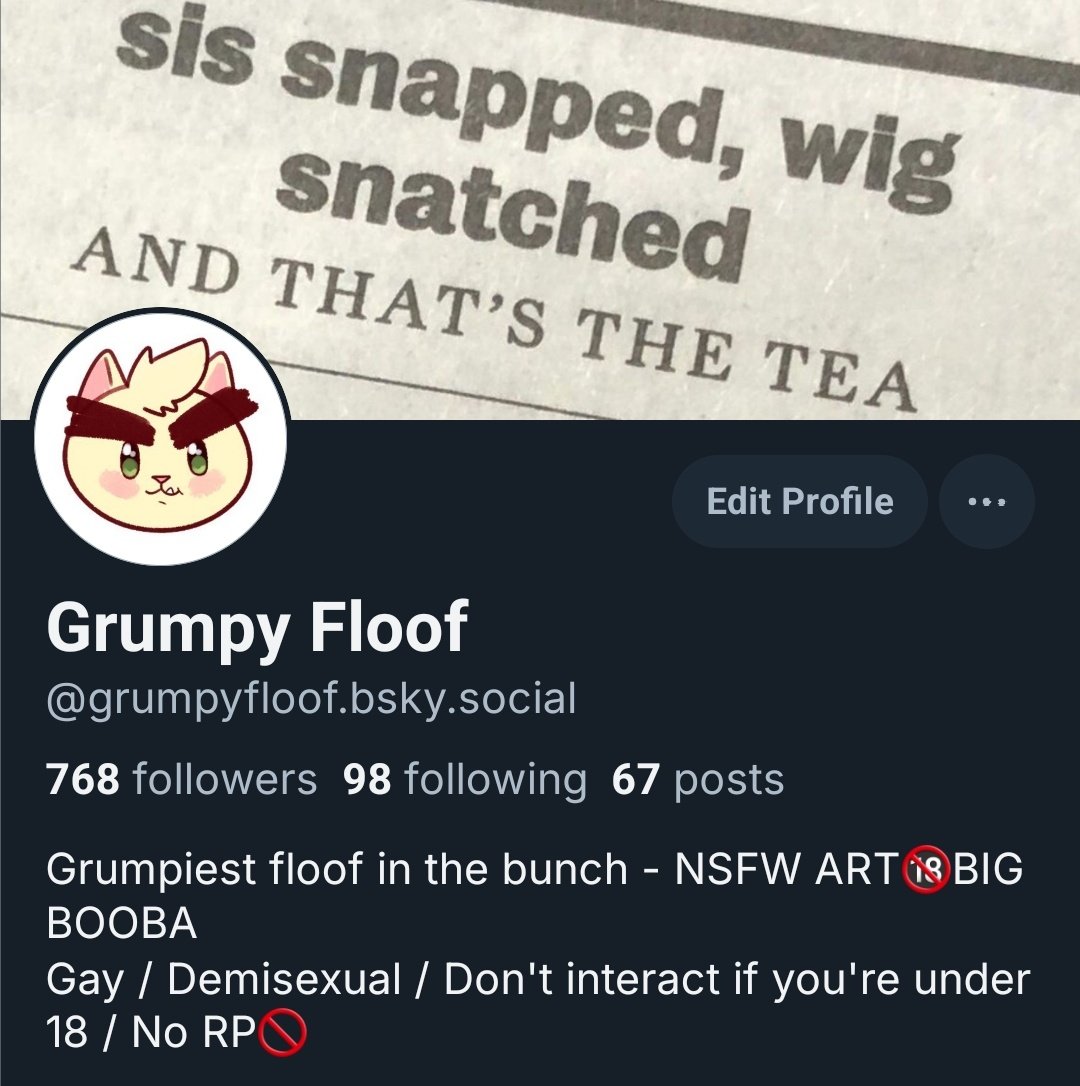 Grumpy Floof (COMMS OPEN) tweet media