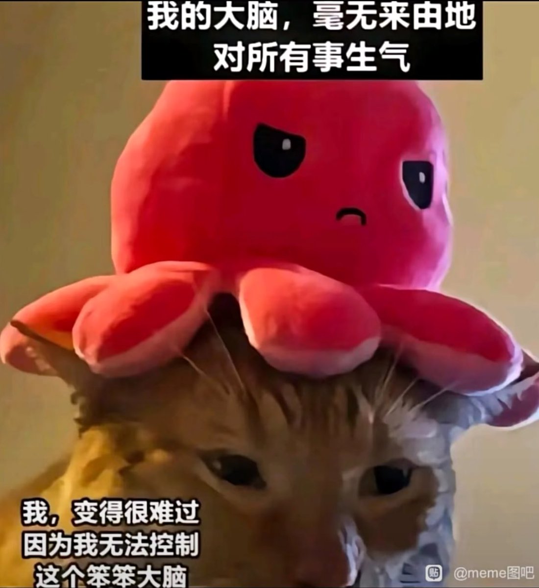 旗田安奈🍵 (@hatadanna) on Twitter photo 