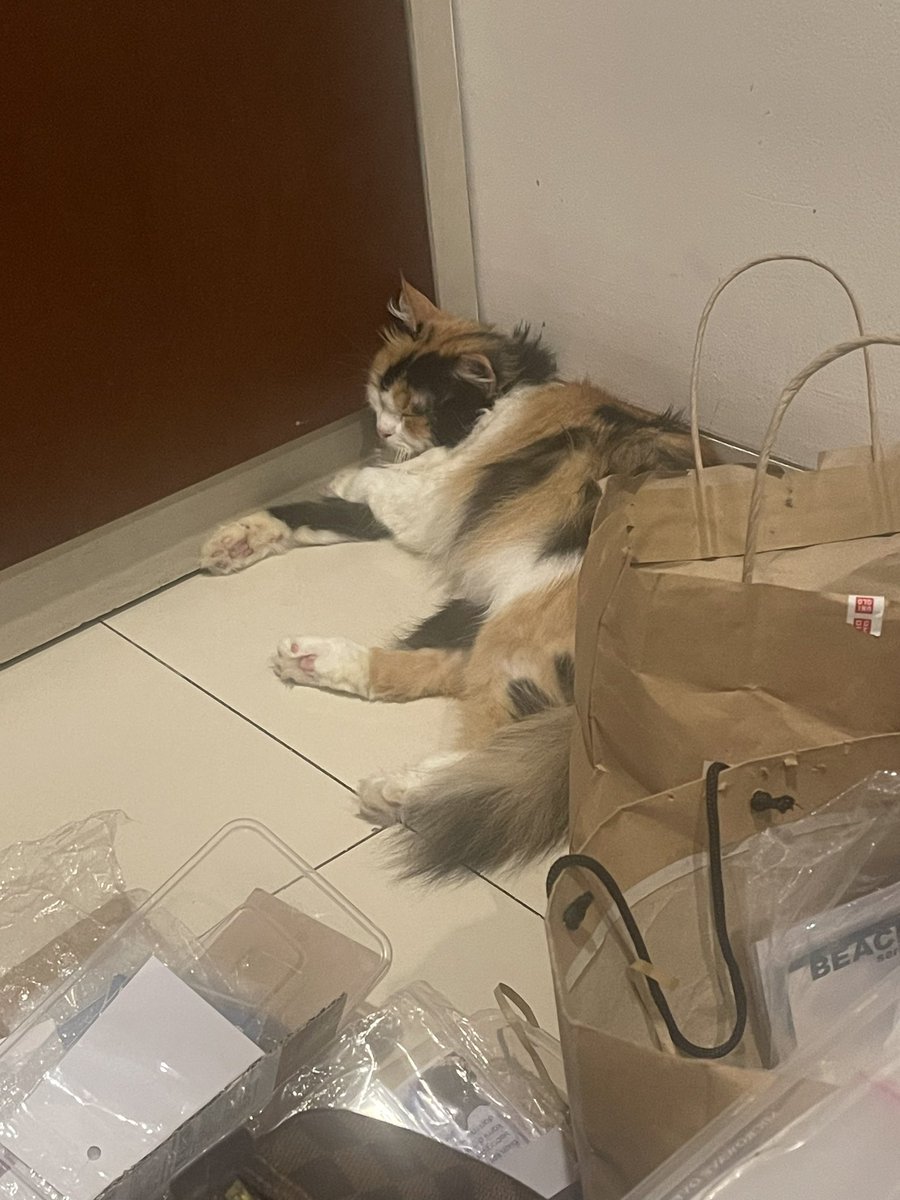 Kasian dia tidur dipojokan