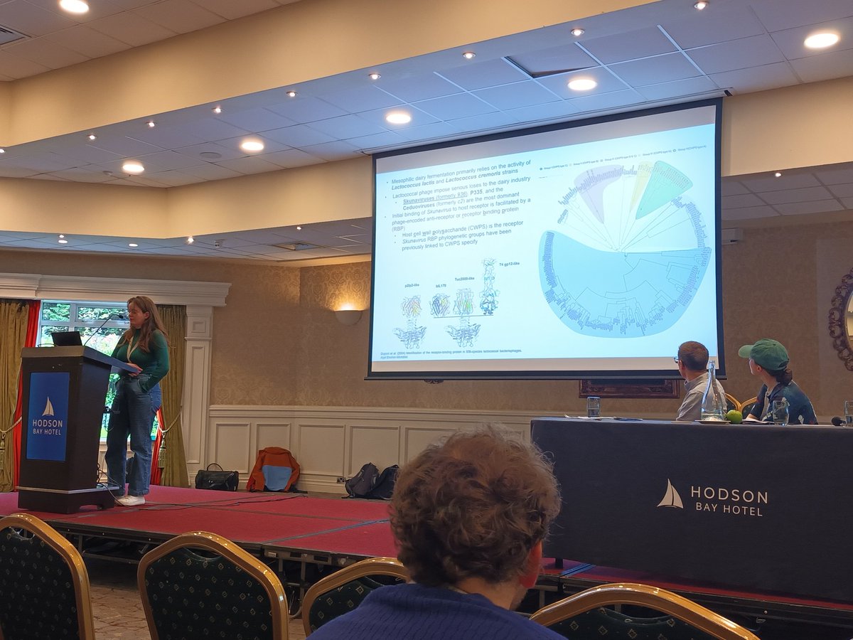 Mahony Lab (@jennifermahony7) on Twitter photo Great presentation by <a href="/kkelseywhite/">Kelsey White</a> from our group regarding phage host interactions. <a href="/UccMicrobiology/">Microbiology UCC</a> <a href="/Pharmabiotic/">APC Microbiome Ireland</a> #microIrish24 Well done!! Great presentation by <a href="/kkelseywhite/">Kelsey White</a> from our group regarding phage host interactions. <a href="/UccMicrobiology/">Microbiology UCC</a> <a href="/Pharmabiotic/">APC Microbiome Ireland</a> #microIrish24 Well done!!