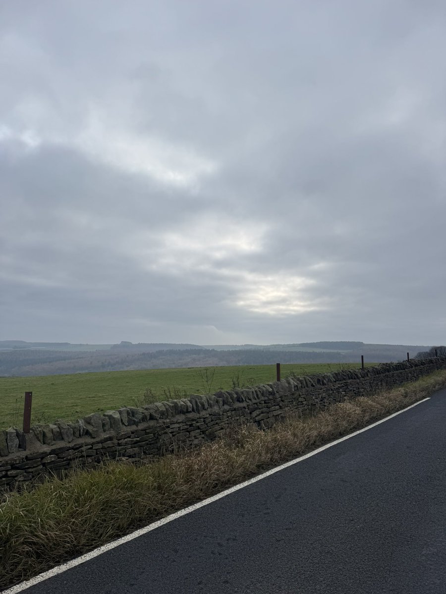 Dr Marie Gressmann tweet media