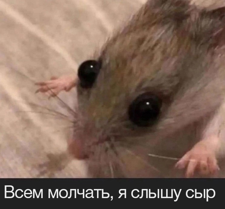 Silence all, I hear cheese