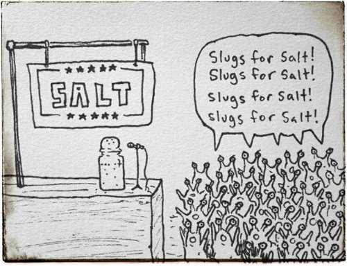 Enjoy your salt