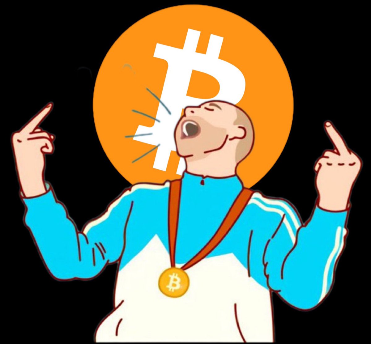 "Bitcoin to the Moon: Raggiunti i 74.000 Dollari, Gli Investitori Fanno il Tifo!"